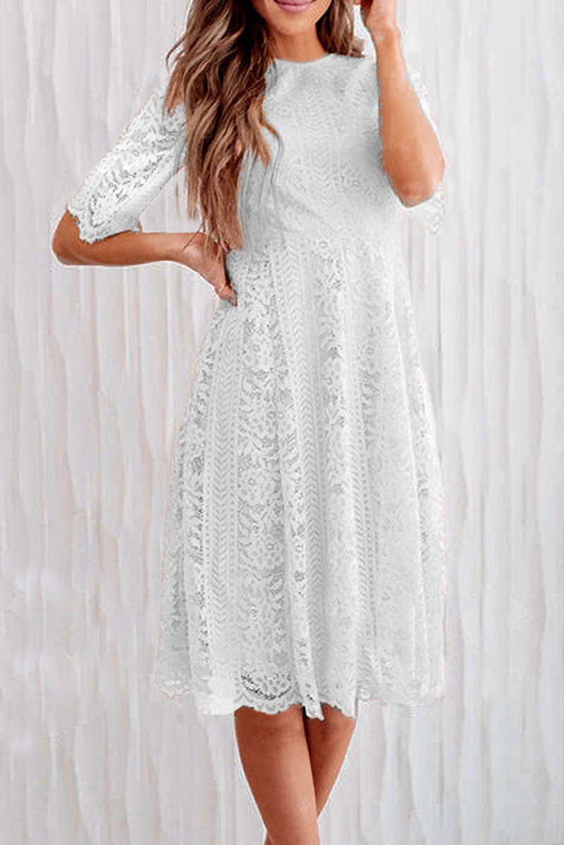 Casual Solid Lace O Neck Cake Skirt Dresses