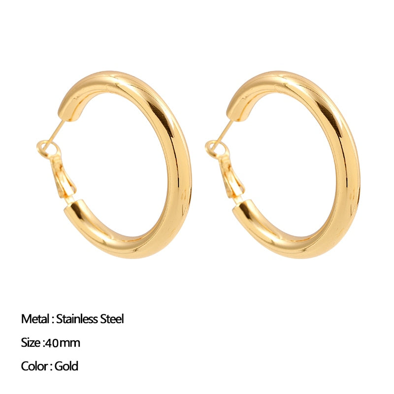 Classic Stainless Steel Ear Buckle for Women Trendy Gold Color Small Large Circle Hoop Earrings Punk Hip Hop Jewelry Accessories