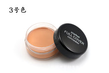 Load image into Gallery viewer, Liquid Face Foundation Base Concealer Cream Face Cover Blemish Hide Dark Spot Blemish Eye Lip Contour Makeup Cosmetic TSLM1