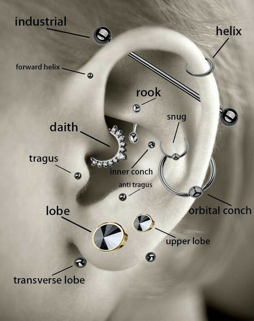 PAIR Stainless Steel Punk Ear Studs Tragus Cartilage Middle Finger Earring Piercing Earrings Helix Piercing Body Jewelry 16G