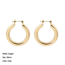 Load image into Gallery viewer, Classic Stainless Steel Ear Buckle for Women Trendy Gold Color Small Large Circle Hoop Earrings Punk Hip Hop Jewelry Accessories