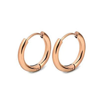 Load image into Gallery viewer, 2022 316L Stainless Steel Hoop Earrings Women Men Male Tragus Cartilage Piercing Ear Jewelry Pendientes Hombre Aretes Wholesale