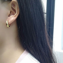 Load image into Gallery viewer, Fashion Hoop Earring For Women Girls Party Wedding 2022 Hiphop Trendy Punk Jewelry eh1457
