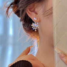 Load image into Gallery viewer, 2022 New Fashion Trend Unique Design Elegant Delicate Heart Shaped Zircon Stud Earrings Women&#39;s Jewelry Party Gift Wholesale